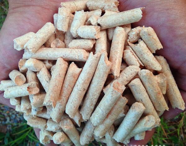 生物質(zhì)顆粒燃燒機