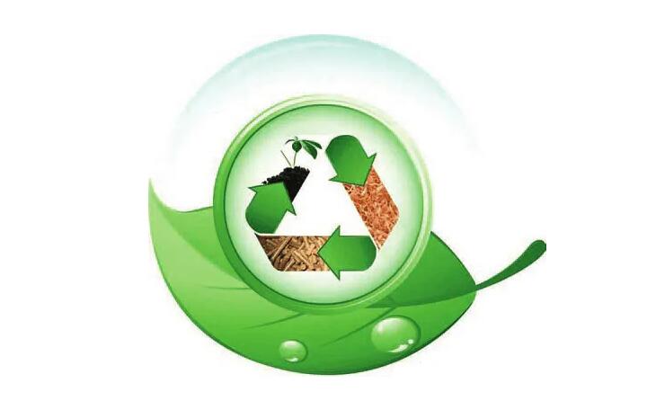 生物質(zhì)能 生物質(zhì)能