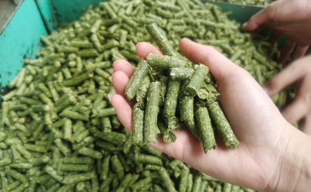 河南支持生物質(zhì)能等可再生能源替代，助力實(shí)現(xiàn)碳達(dá)峰碳中和目標(biāo)